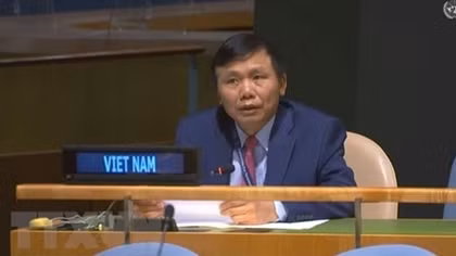 Vietnam supports UNSC reform: Ambassador