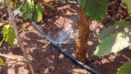 Central Highlands ensures sufficient water for coffee trees