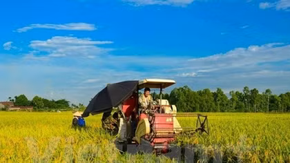 Ministry builds mechanism for land agglomeration, large-scale farming