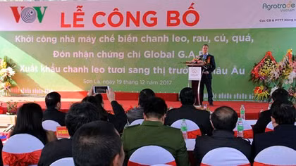 Work begins on VND200 billion fruit and veg processing plant in Son La