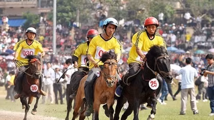 Bac Ha Horse Racing Festival opens 