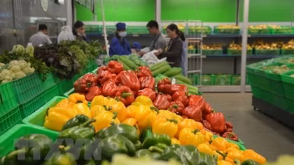 Vietnam’s farm products exported to Thailand