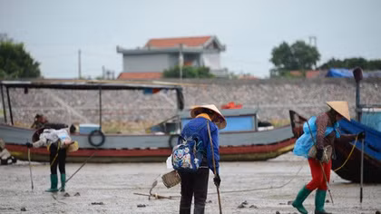 Illegal fishing continues unbated in Quang Ninh