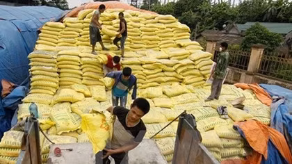 Temporary duties on fertiliser may hurt farmers