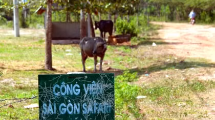 Construction of Saigon Safari Park on horizon