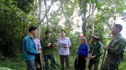 Vietnam to collect over US$100 mln from forest environment services in 2018