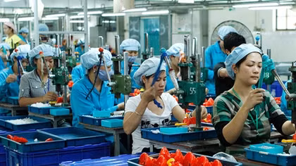 Ministry of Finance to cut taxes for all small and medium-sized firms
