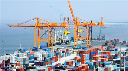 Seaport service fees up 10% from early 2019