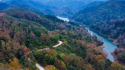 Project set to grow at least 1 billion trees in Vietnam over five years
