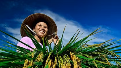 Vietnam climbs 11 levels in global safety index