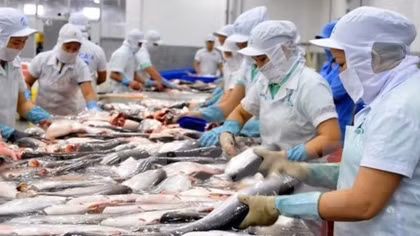 Methodical approach to exporting aquatic products to US suggested
