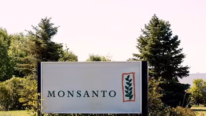 U.S. judge affirms Monsanto weed-killer verdict, slashes damages