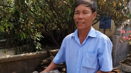 Thua Thien-Hue border guards release rare turtle to sea