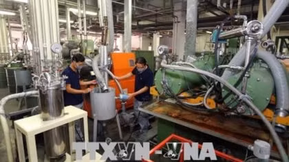 Dong Nai’s first half FDI attraction nearly meets yearly plan