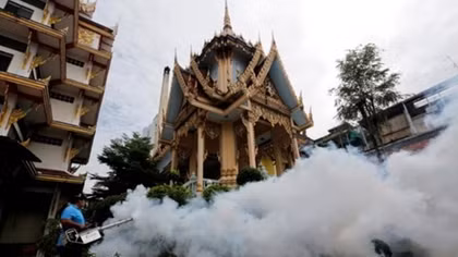 Thailand considers free Zika tests for all pregnant women