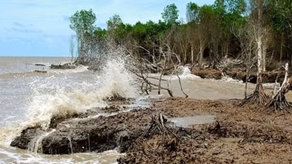 Dong Thap works to cope with erosion