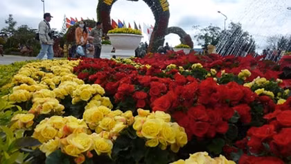 Da Lat Flower Festival 2017 scheduled for December with 50 vibrant activities