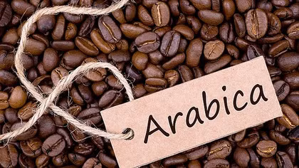 Arabica coffee prices set to enjoy bounce back in 2020