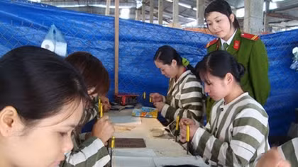 Ensuring human rights in re-education of offenders