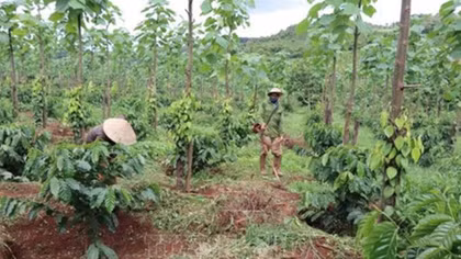 Vietnam strives for poverty reduction in disadvantaged regions