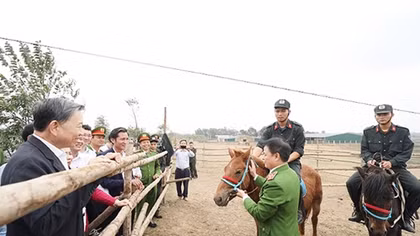 Minister To Lam visits Cavalry Training Center of Mobile Police Command