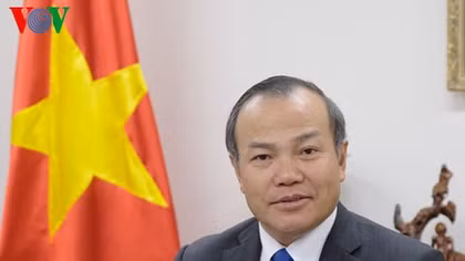 Vietnam, Japan co-ordinate efforts to support people amid COVID-19