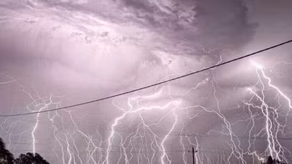 Death toll from Australia's thunderstorm asthma reaches 6