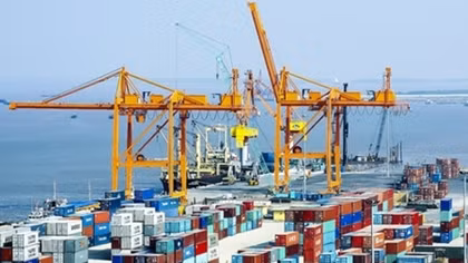 63% of local firms expect positive impact from CPTPP