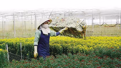 Agriculture: new engine for growth