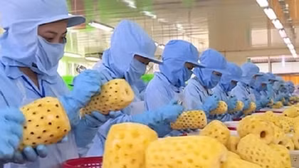 Farm produce to China stuck due to COVID-19 control policy