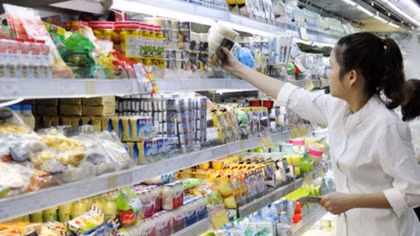 Bright prospect for Vietnam’s key economic sectors in 2019