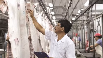 Big foreign companies jump into Vietnam’s meat market