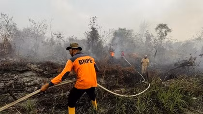 Indonesia closes plantation companies, schools due to wildfires