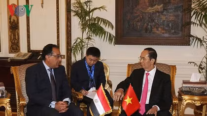 Vietnam, Egypt should bolster trade promotion: President