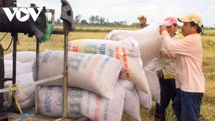Vietnam urged to increase added value for rice industry