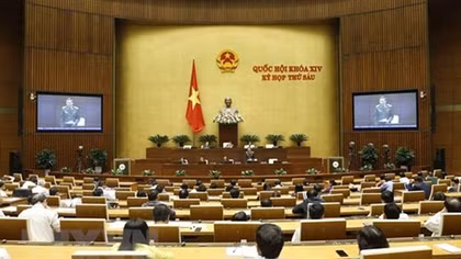 National Assembly discuss bills on amnesty, husbandry