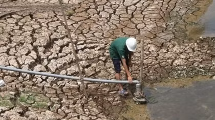 Mekong Delta takes measures against saltwater intrusion