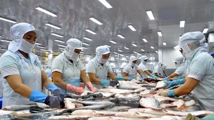 Catfish exports now face tougher US inspections