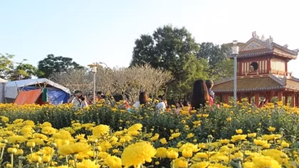Vietnam's Hue comes alive with colorful flowers and crowds 