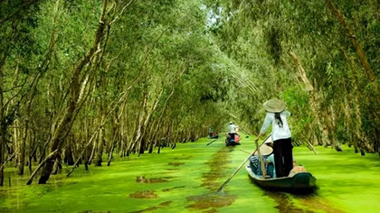 Mekong Delta attracts 7,800 billion VND of investment in tourism and infrastructure
