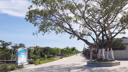 The beauty of Thai Binh province’s countryside
