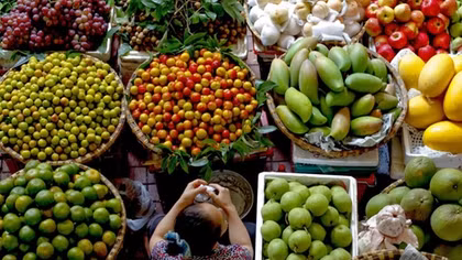 EU-Vietnam enhance trade on farm products and food