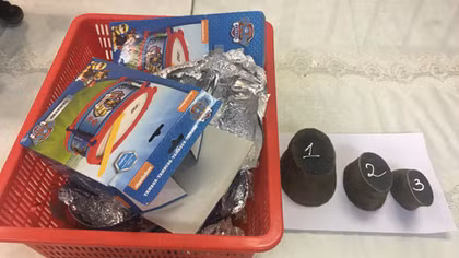 Vietnam customs officers seize 1.5 kilos of rhino horn shipped on flight from Africa
