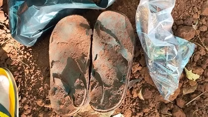 Twenty-two sets of remains of martyrs collected