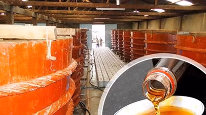 Prime Minister requests clarification on fish sauces' quality