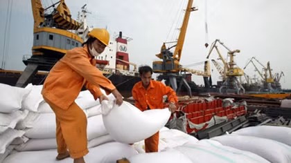 Rice exports set to pick up in Q1 2019