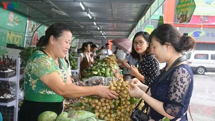 Son La exports 30 tonnes of locally-grown longans to China