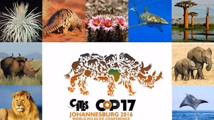 Vietnam attends 17th CITES conference in South Africa