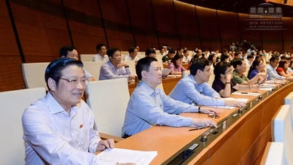Voters voice opinions on urgent issues
