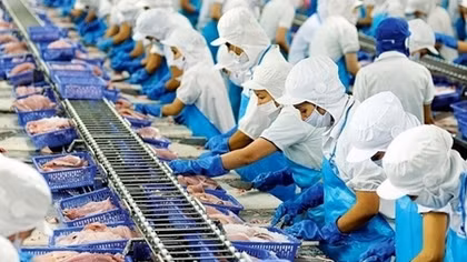 A challenging year ahead for fisheries sector in 2021